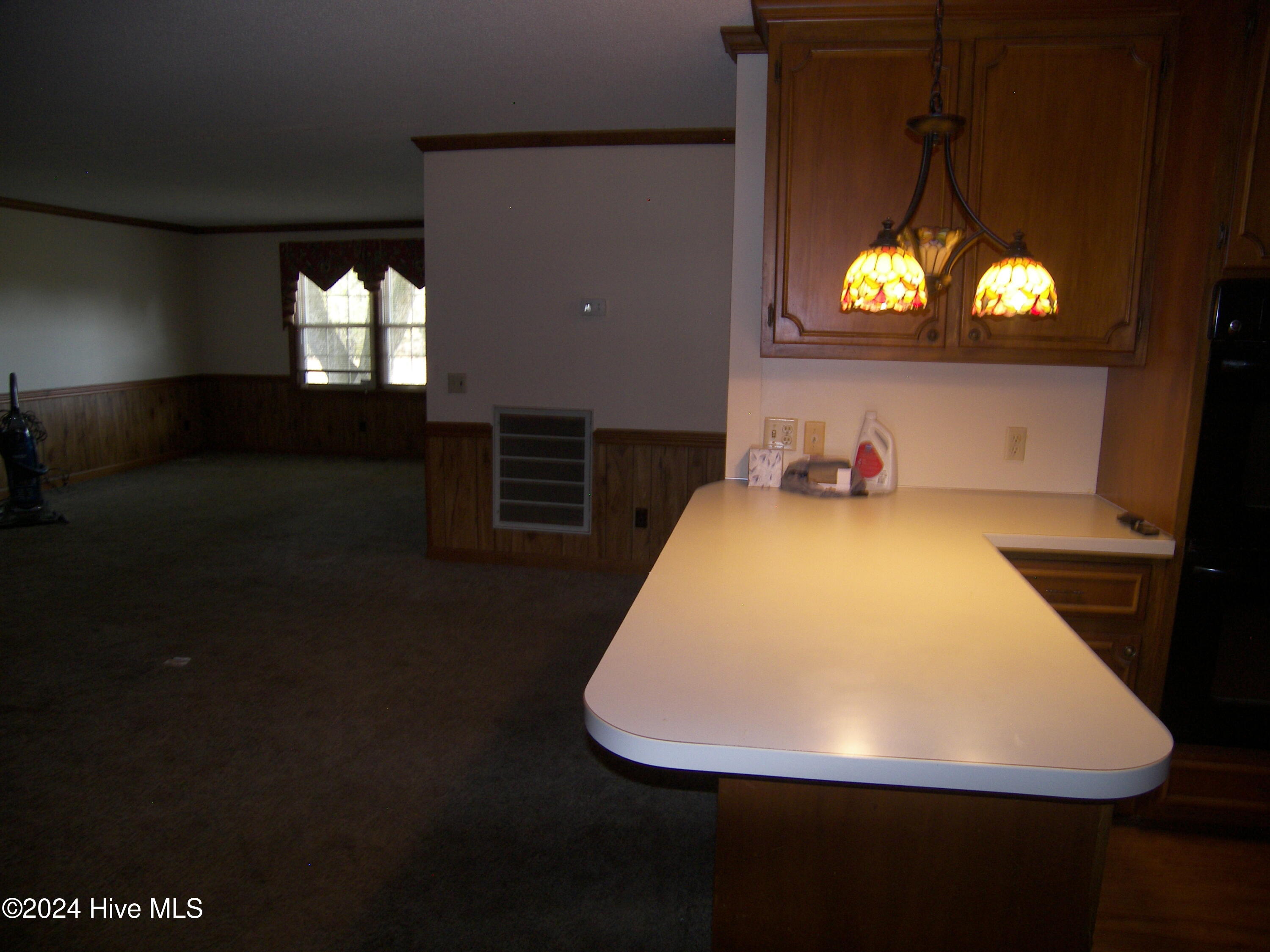 11515 West Old Spring Hope Road Spring Hope, NC 27882 - Photo 32 of 33 100_8129