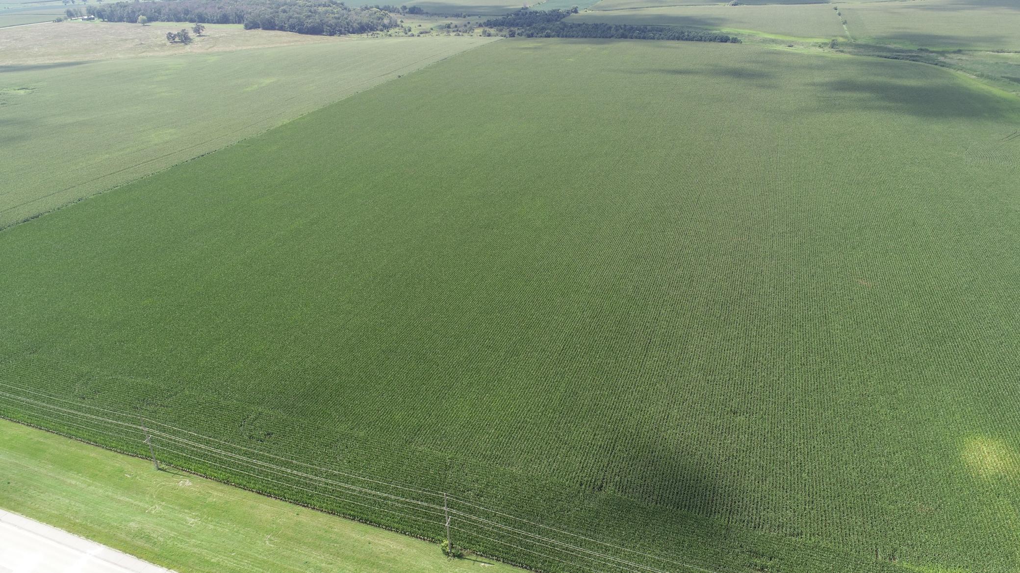 63 SOUTH Bloomfield Twp Mn 55975 Spring Valley, MN 55975 - Photo 11 of 15