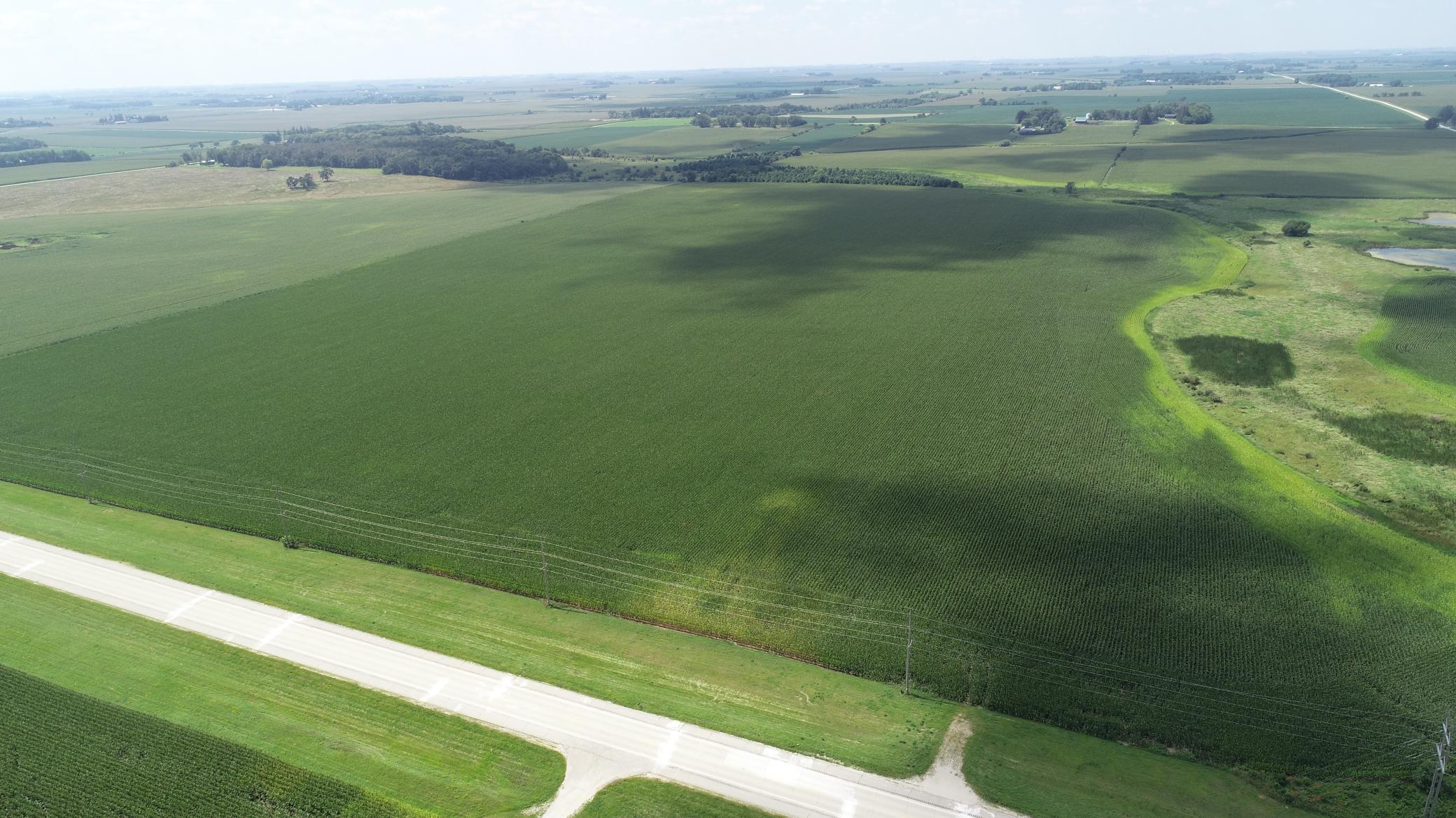 63 SOUTH Bloomfield Twp Mn 55975 Spring Valley, MN 55975 - Photo 13 of 15