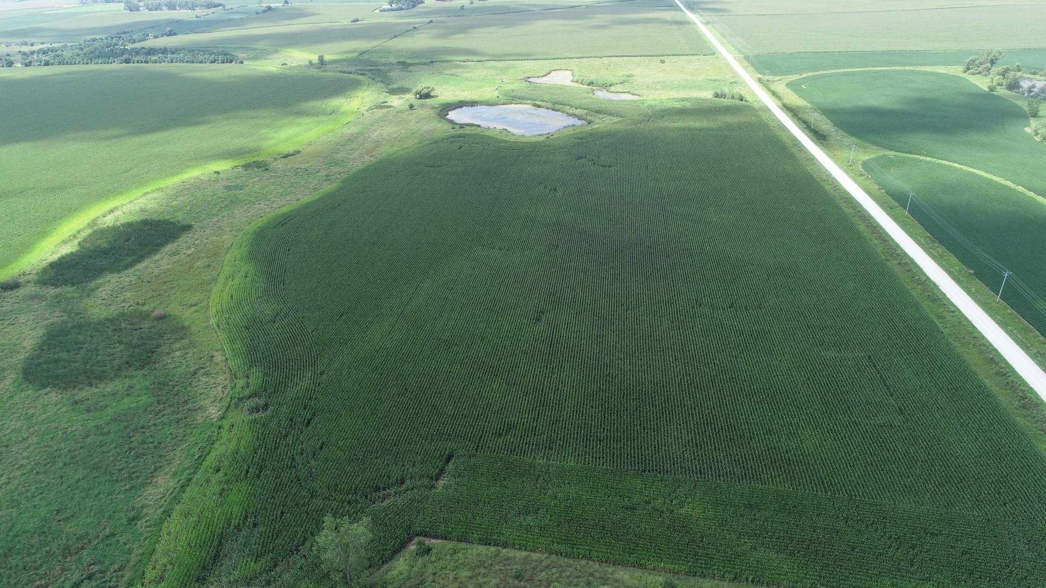 63 SOUTH Bloomfield Twp Mn 55975 Spring Valley, MN 55975 - Photo 14 of 15