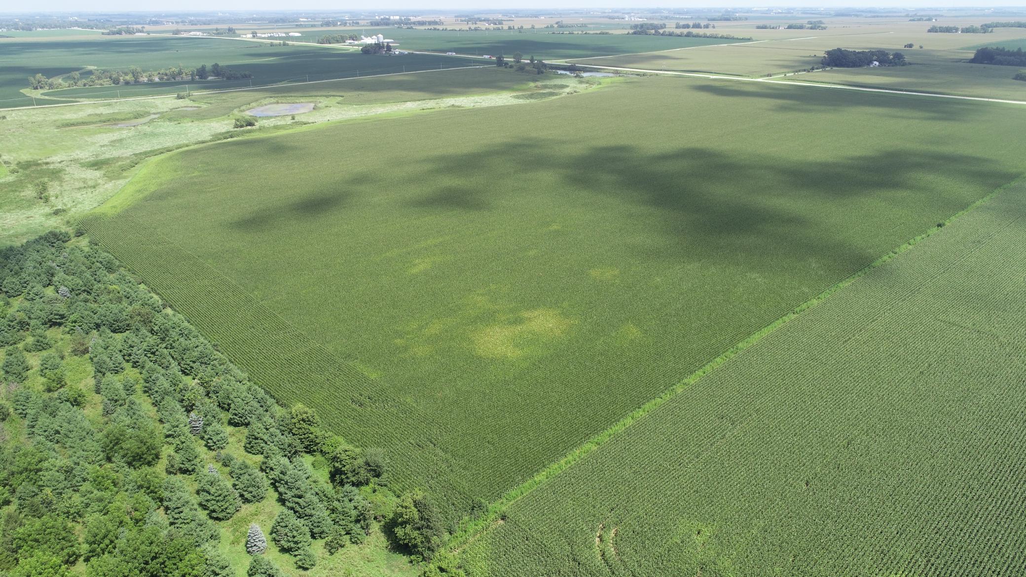 63 SOUTH Bloomfield Twp Mn 55975 Spring Valley, MN 55975 - Photo 3 of 15