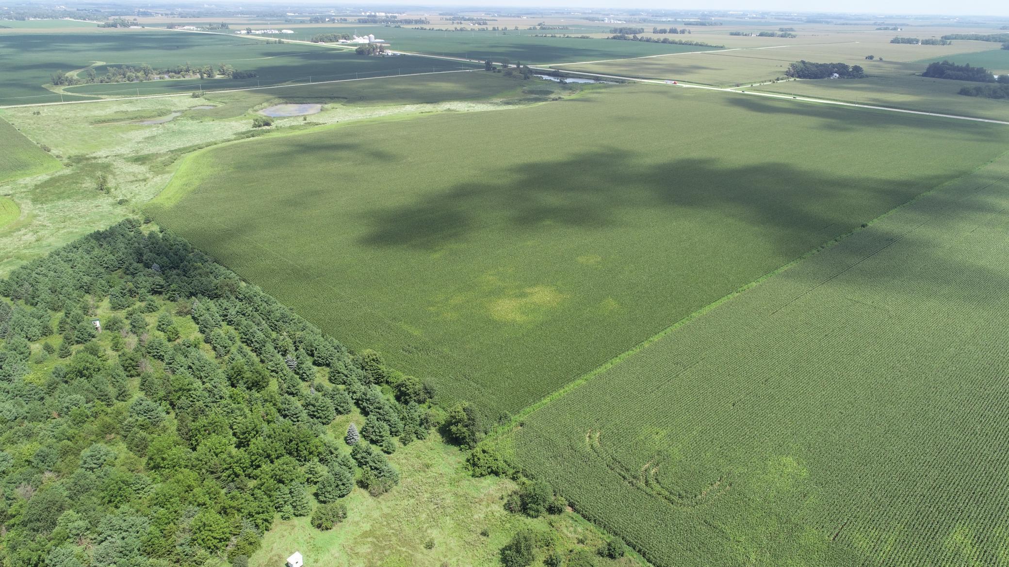 63 SOUTH Bloomfield Twp Mn 55975 Spring Valley, MN 55975 - Photo 4 of 15