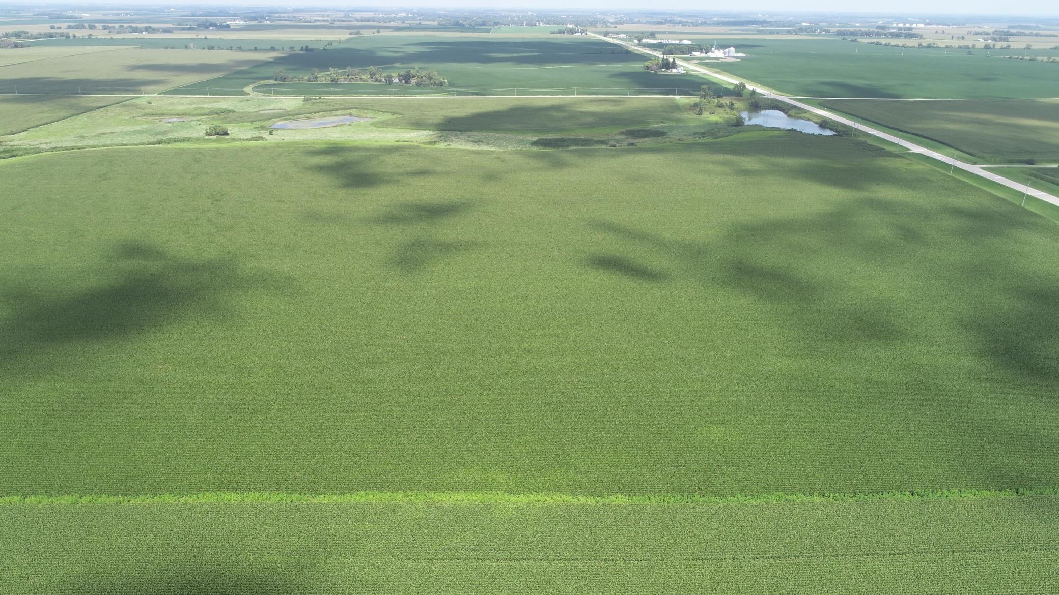 63 SOUTH Bloomfield Twp Mn 55975 Spring Valley, MN 55975 - Photo 5 of 15