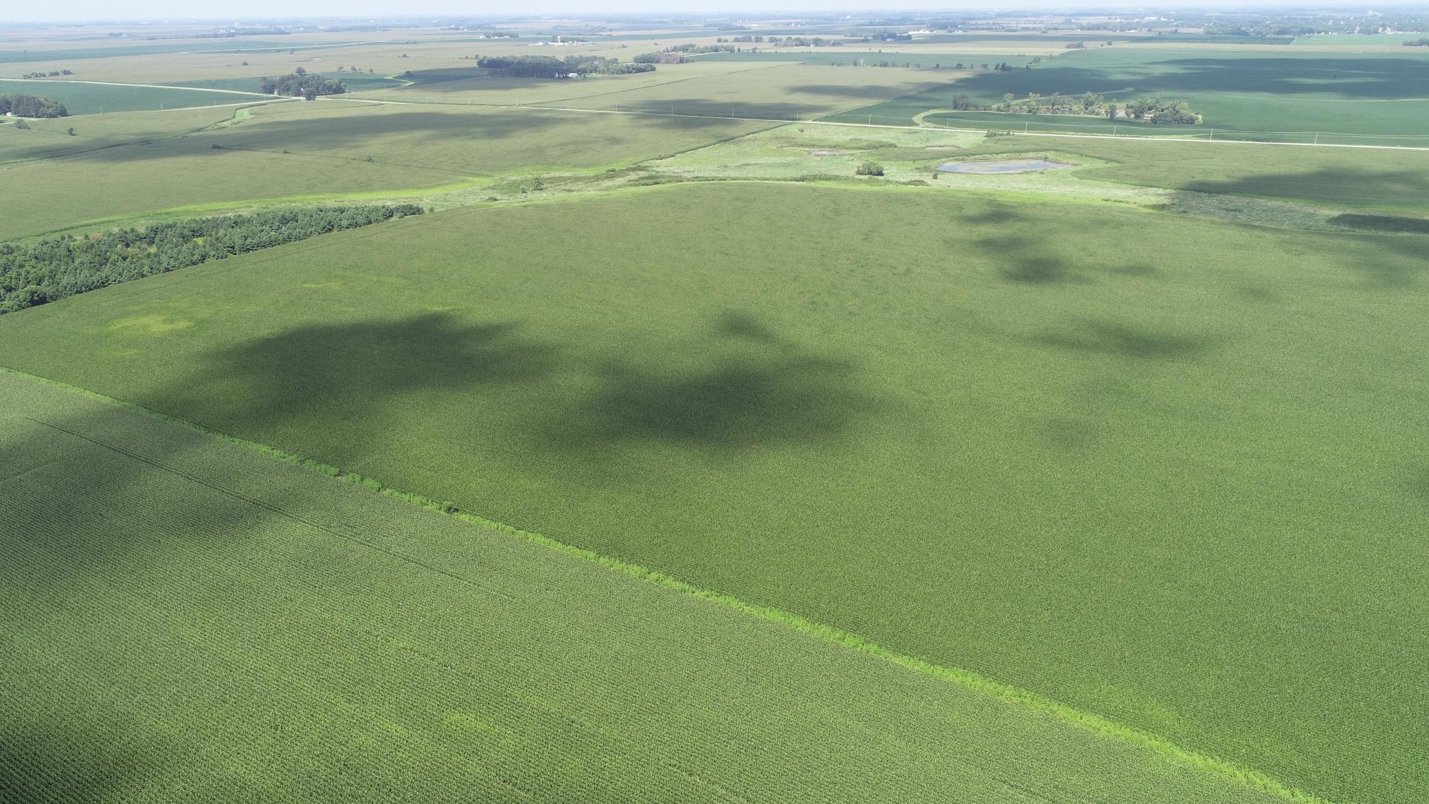 63 SOUTH Bloomfield Twp Mn 55975 Spring Valley, MN 55975 - Photo 6 of 15