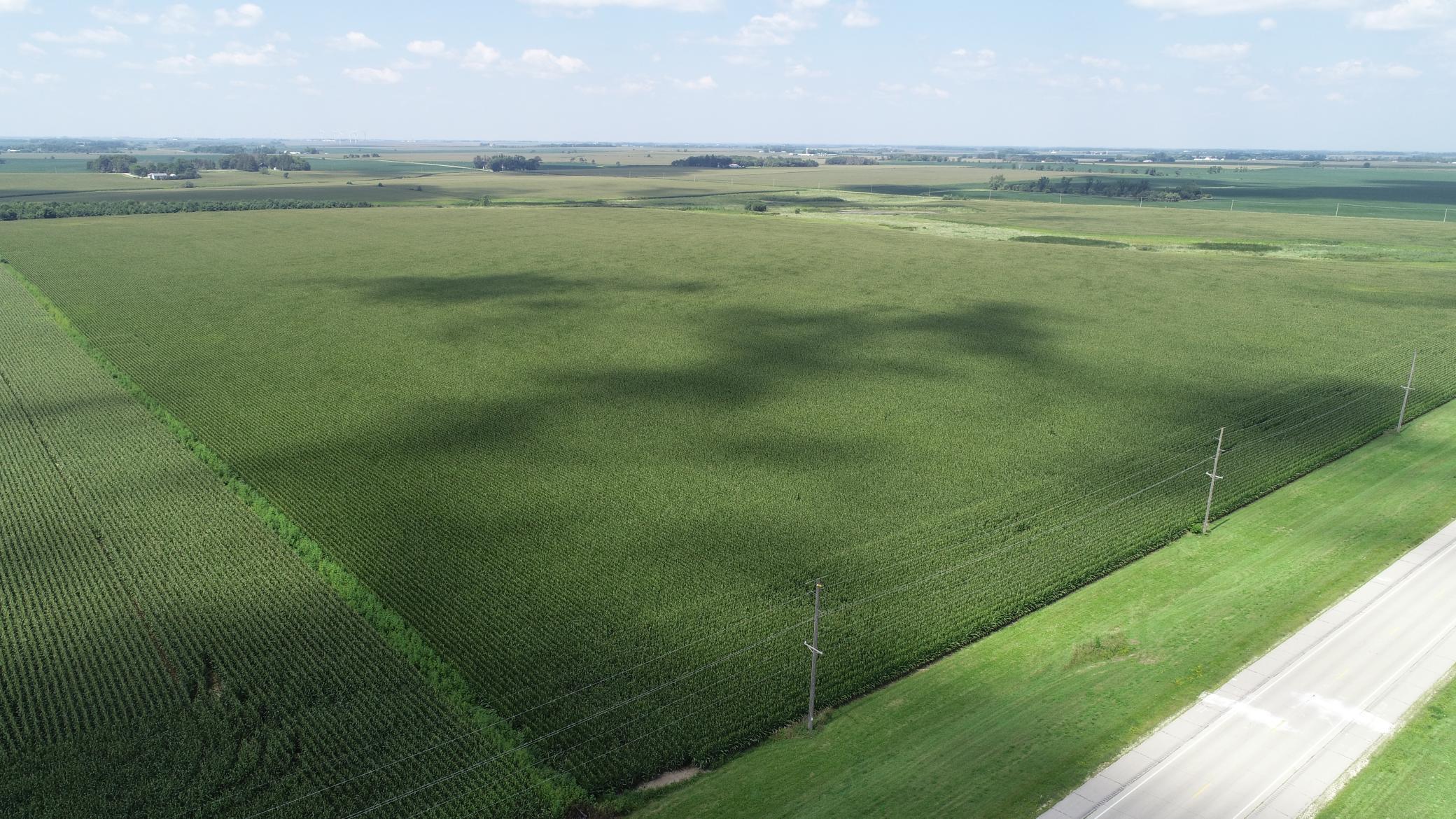 63 SOUTH Bloomfield Twp Mn 55975 Spring Valley, MN 55975 - Photo 9 of 15