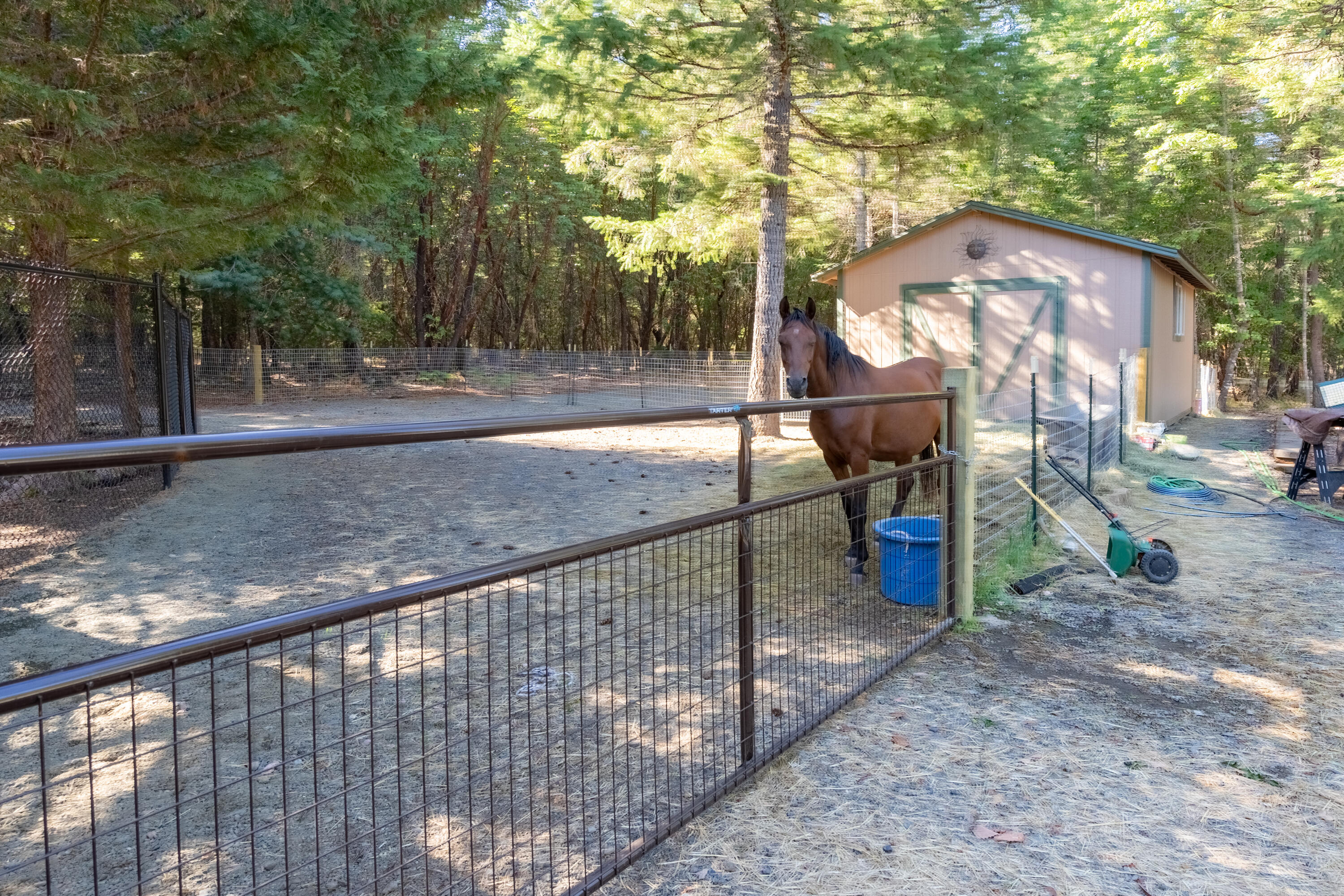 2854 Riverbanks Road Grants Pass, OR 97527 - Photo 50 of 62 DSC07543-HDR