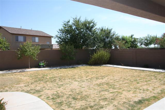 3273 East Blue Ridge Way Gilbert, AZ 85298 - Photo 12 of 14 BACKYARD