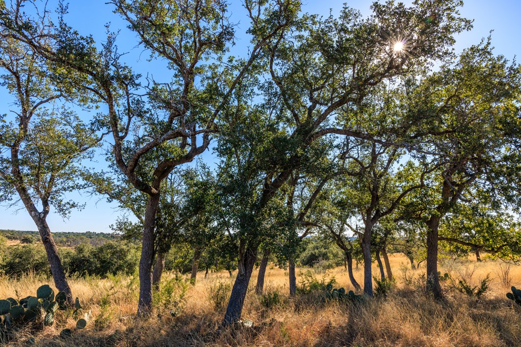 Lot 20 Mayers Rdg Drive, Unit 20 Kerrville, TX 78028 - Photo 16 of 33