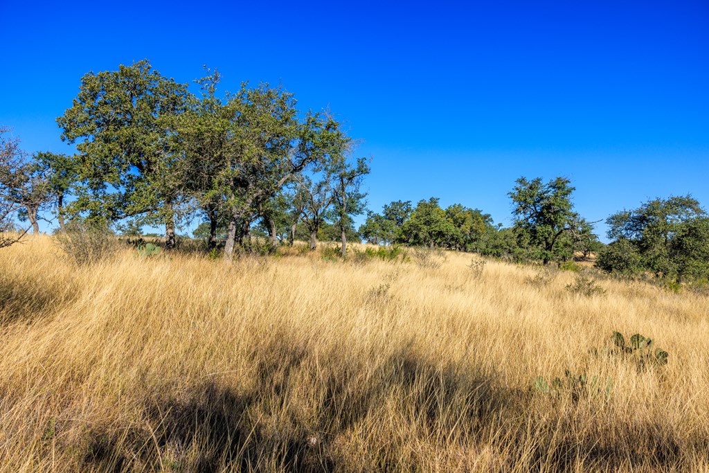 Lot 20 Mayers Rdg Drive, Unit 20 Kerrville, TX 78028 - Photo 17 of 33