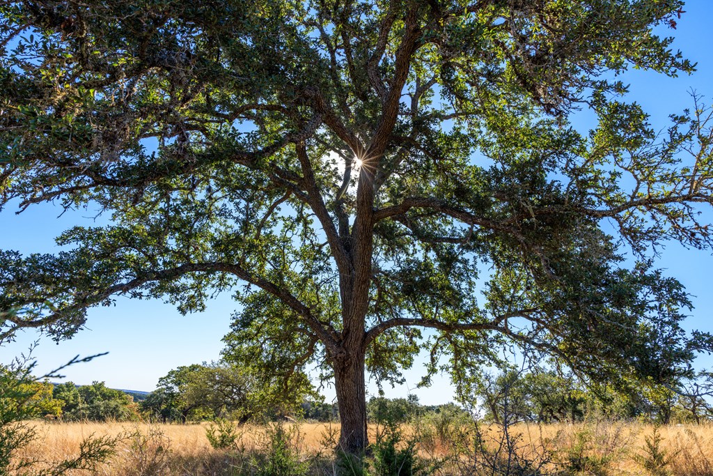 Lot 20 Mayers Rdg Drive, Unit 20 Kerrville, TX 78028 - Photo 18 of 33