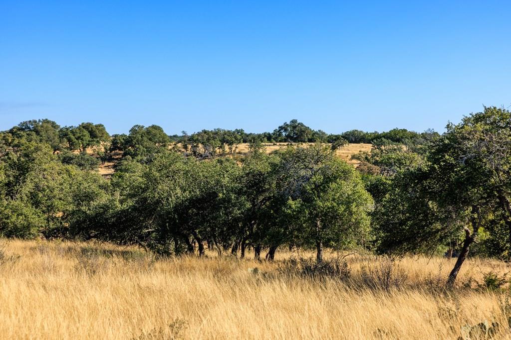 Lot 20 Mayers Rdg Drive, Unit 20 Kerrville, TX 78028 - Photo 2 of 33