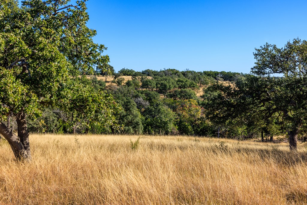 Lot 20 Mayers Rdg Drive, Unit 20 Kerrville, TX 78028 - Photo 22 of 33
