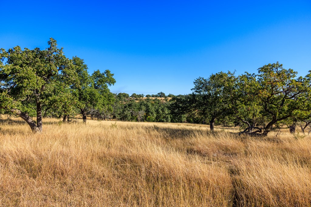 Lot 20 Mayers Rdg Drive, Unit 20 Kerrville, TX 78028 - Photo 23 of 33