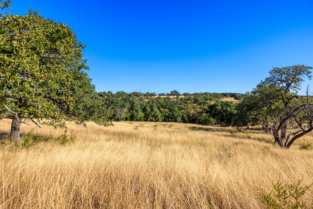 Lot 20 Mayers Rdg Drive, Unit 20 Kerrville, TX 78028 - Photo 26 of 33