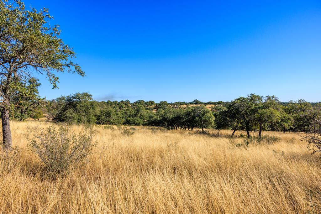 Lot 20 Mayers Rdg Drive, Unit 20 Kerrville, TX 78028 - Photo 3 of 33