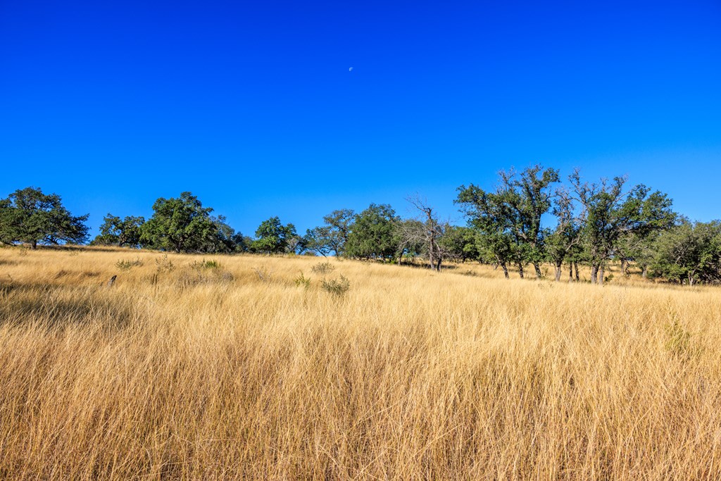 Lot 20 Mayers Rdg Drive, Unit 20 Kerrville, TX 78028 - Photo 31 of 33
