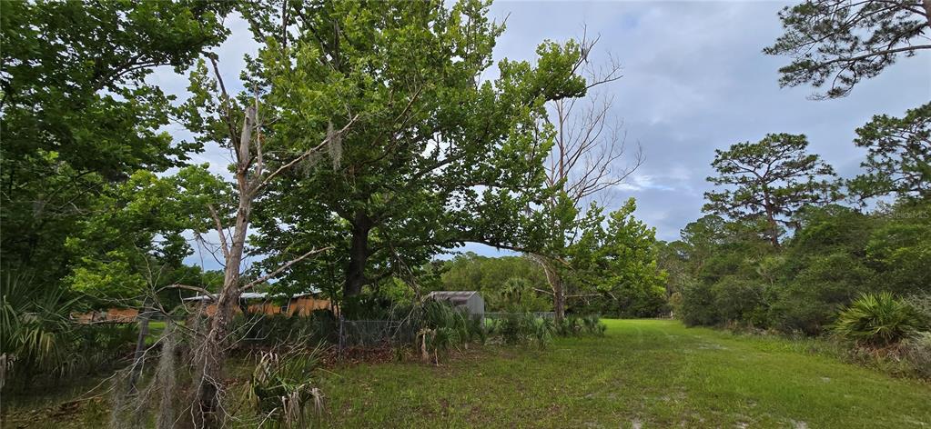 6150 Southwest 126th Avenue Cedar Key, FL 32625 - Photo 6 of 12