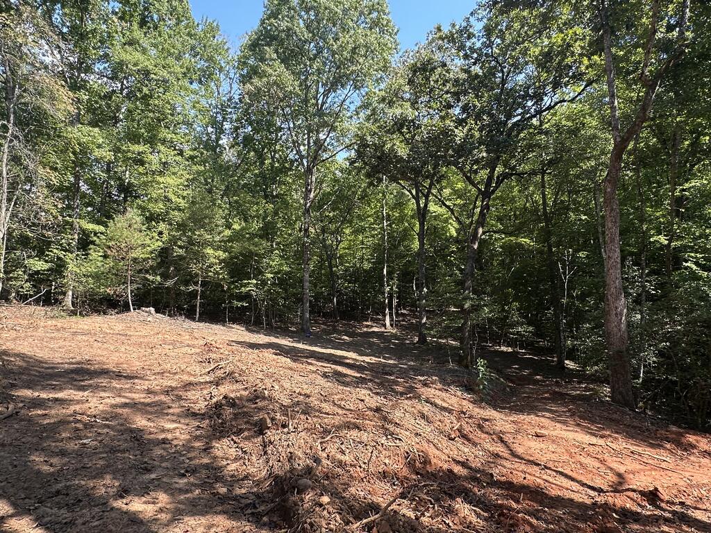 Tbd Harris Ridge Lane Hayesville, NC 28904 - Photo 18 of 32 Gallery Image 18