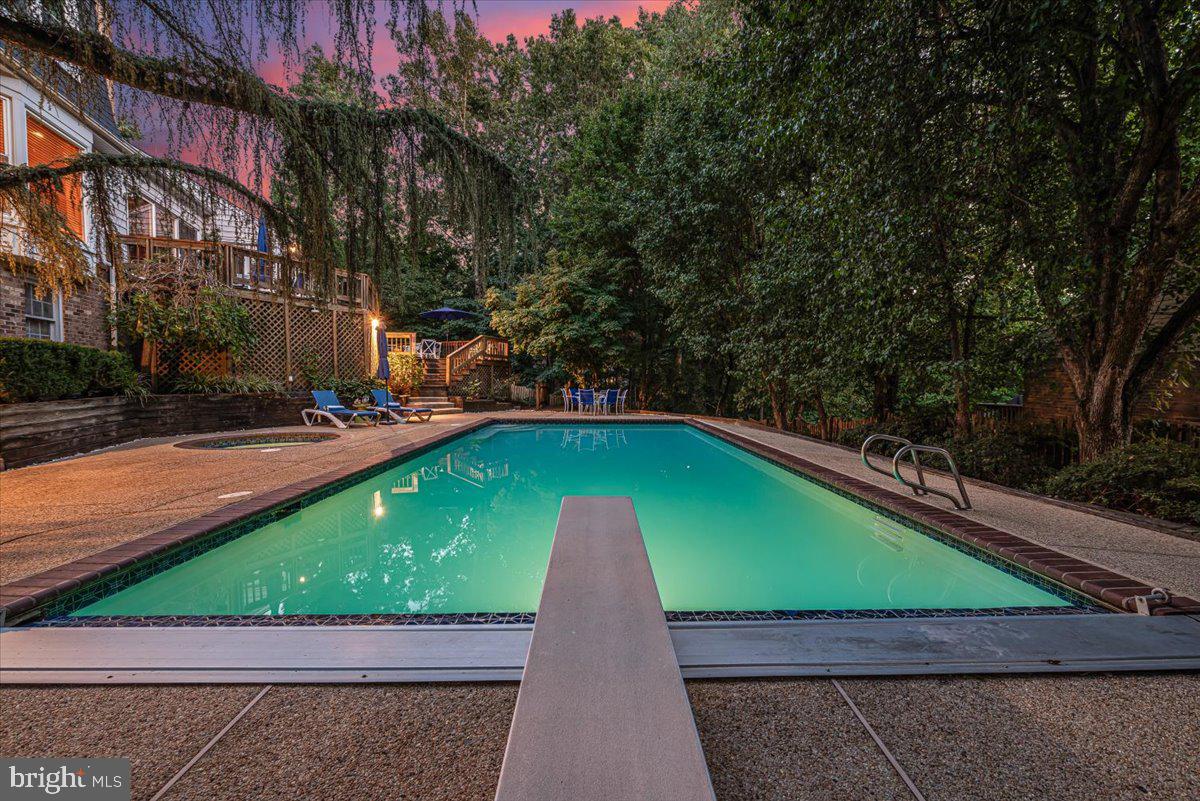 9625 Reach Road Potomac, MD 20854 - Photo 50 of 64 Dive in!