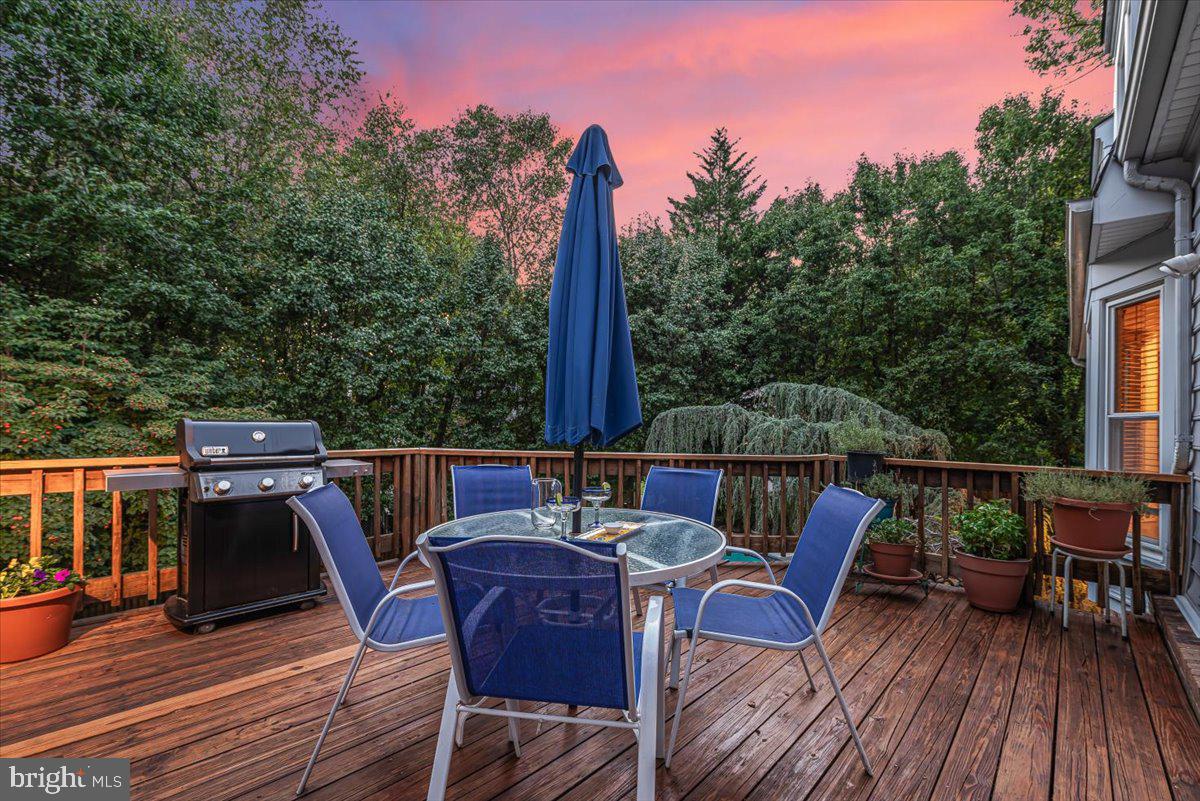 9625 Reach Road Potomac, MD 20854 - Photo 55 of 64 Fire up your grill!