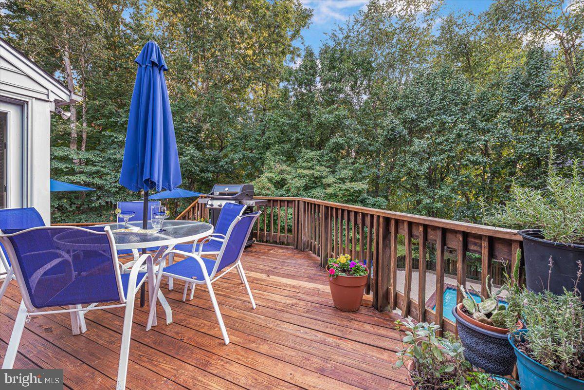 9625 Reach Road Potomac, MD 20854 - Photo 56 of 64