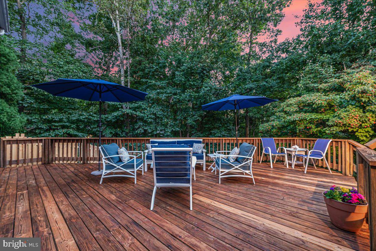 9625 Reach Road Potomac, MD 20854 - Photo 59 of 64