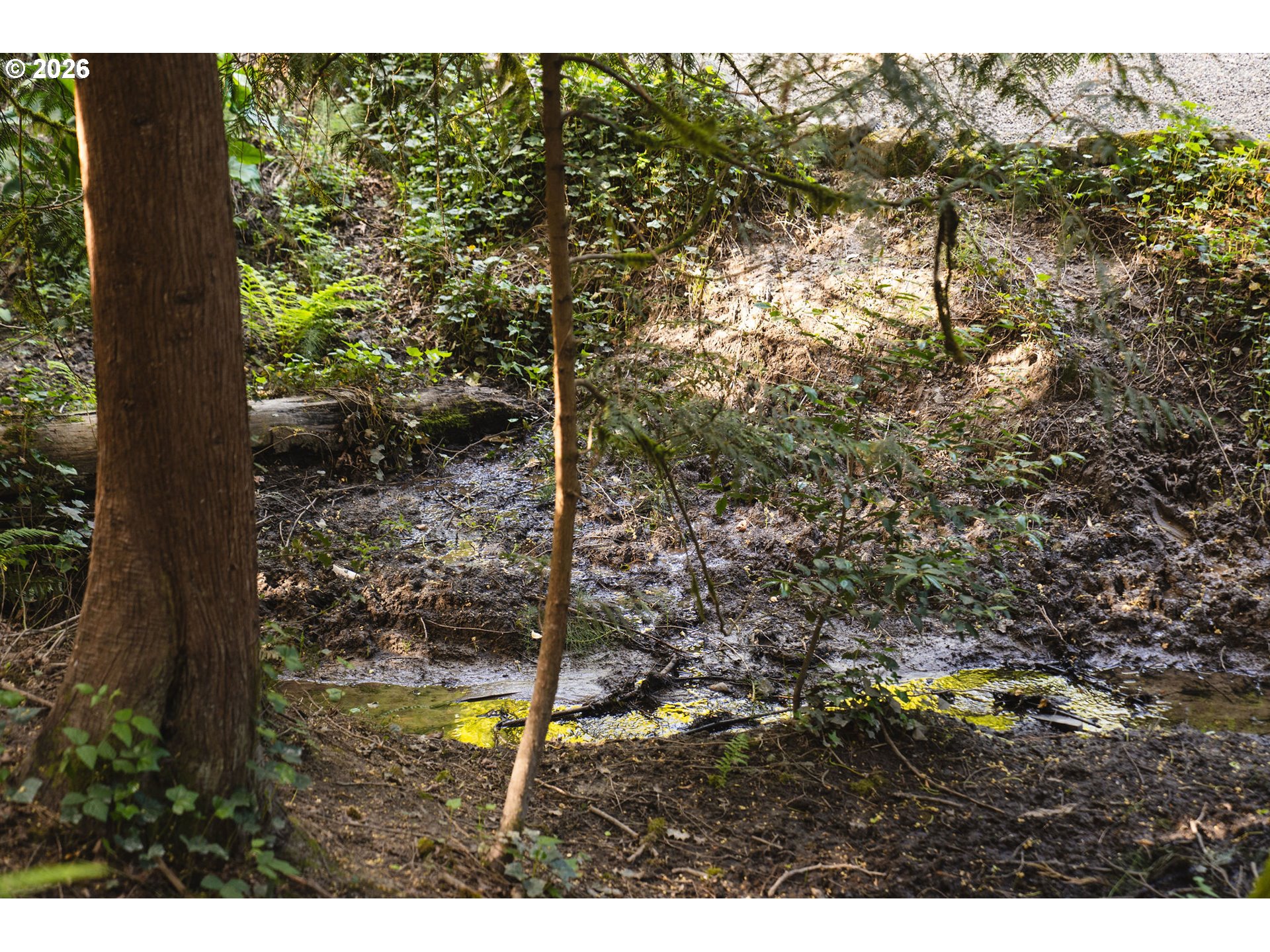 7190 Southwest Raleighwood Lane Portland, OR 97225 - Photo 23 of 40 Creek