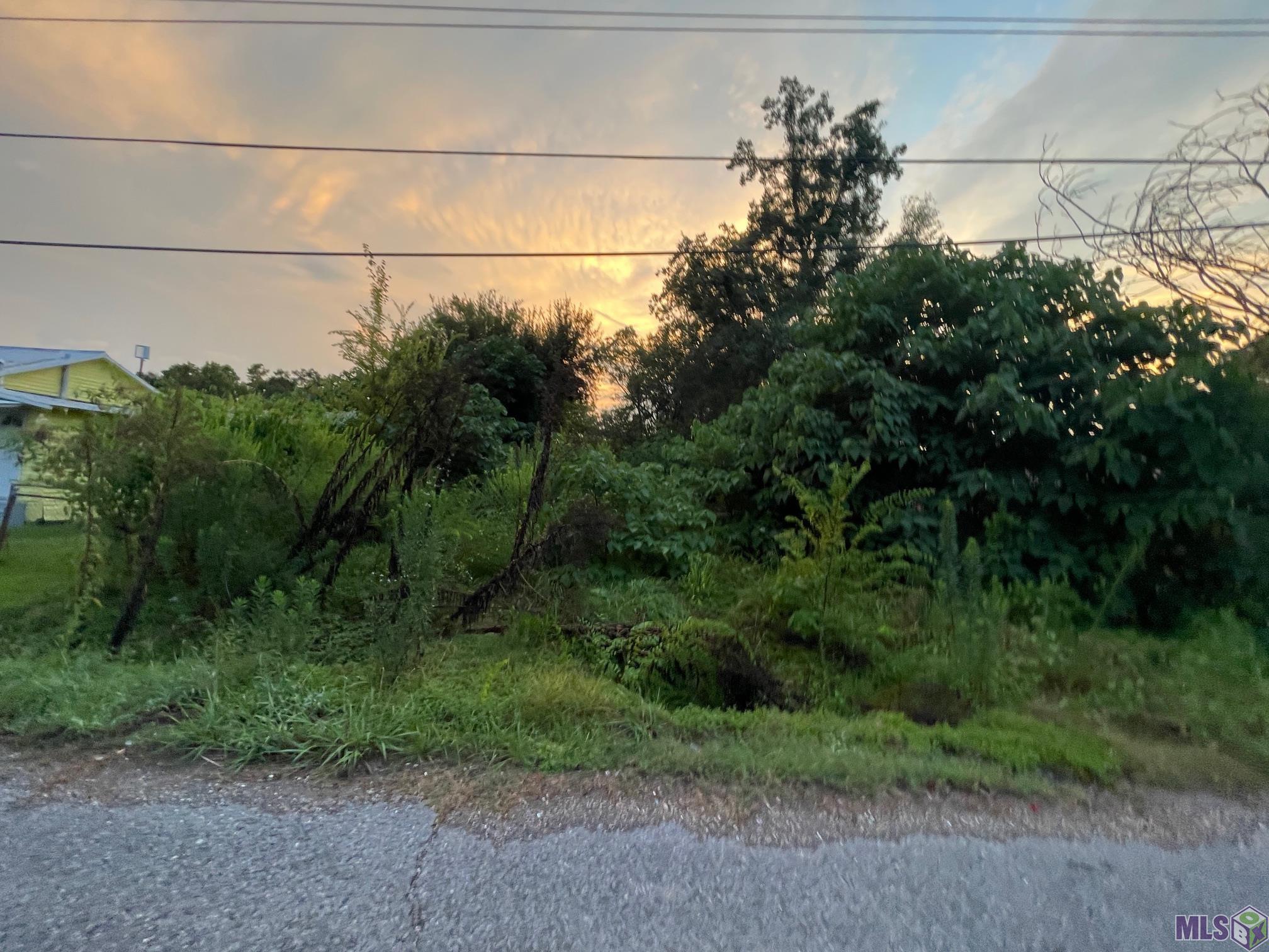 3819 Uncas Street Baton Rouge, LA 70805 - Photo 3 of 7