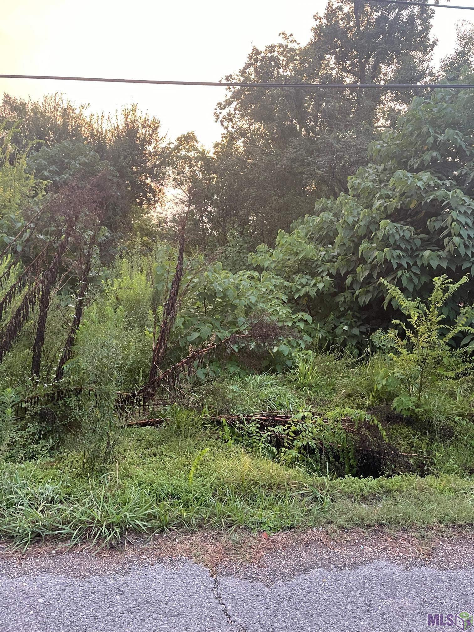 3819 Uncas Street Baton Rouge, LA 70805 - Photo 7 of 7