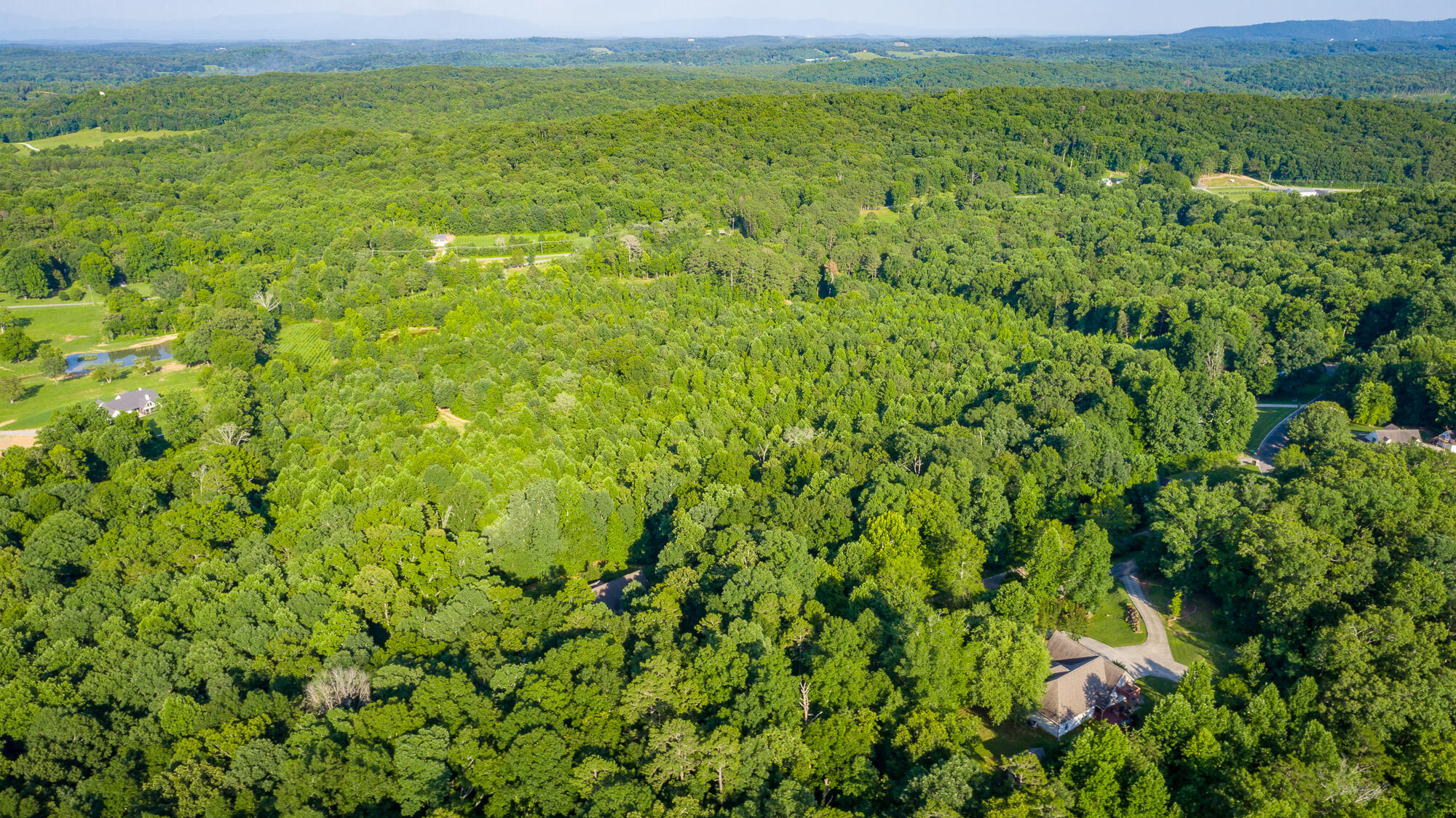 98 Etowah Ridge Ringgold, GA 30736 - Photo 119 of 124 98 Etowah Ridge HD-152