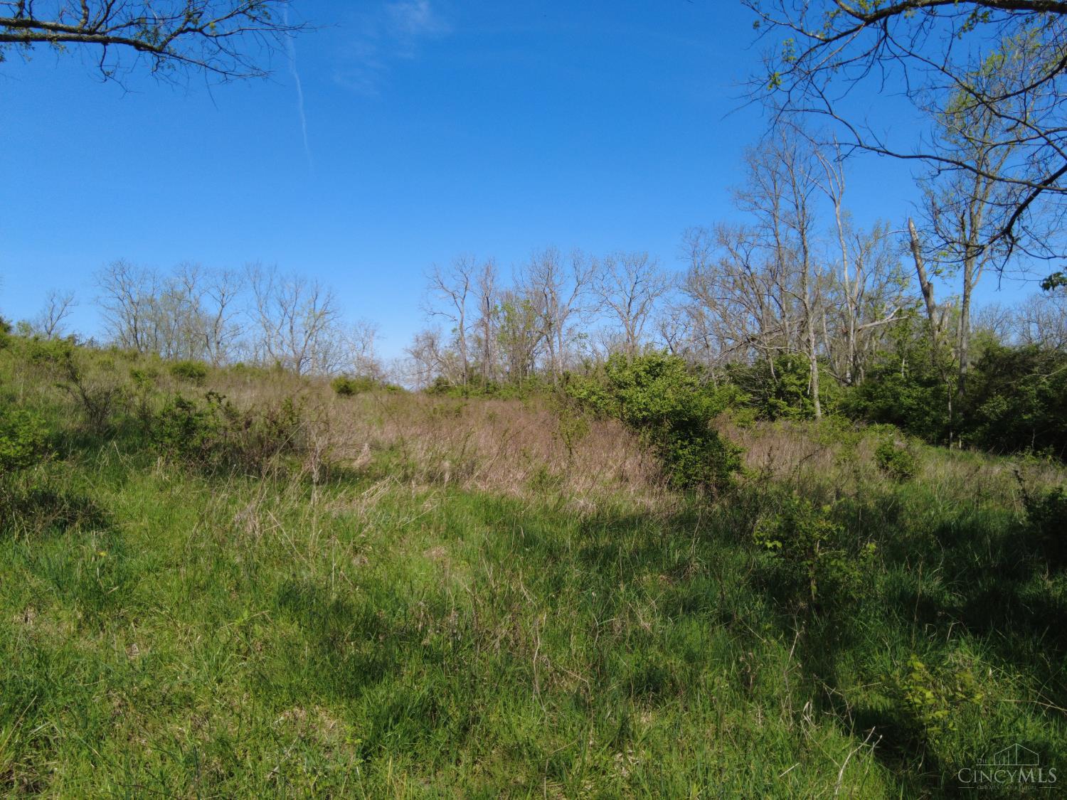 9951 Fishing Gut Road Aberdeen, OH 45101 - Photo 28 of 50