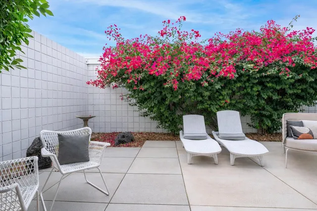 a view of a chairs and table in the backyard