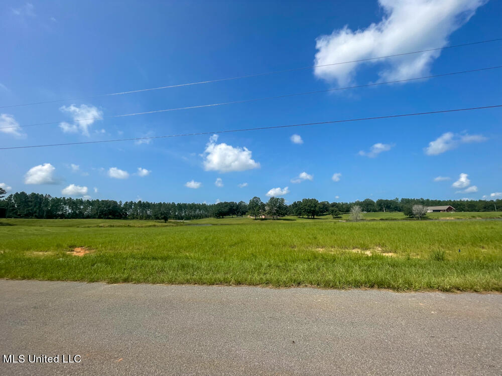 Lot 11 Conner Stringer Drive Lucedale, MS 39452 - Photo 40 of 54 IMG_2311
