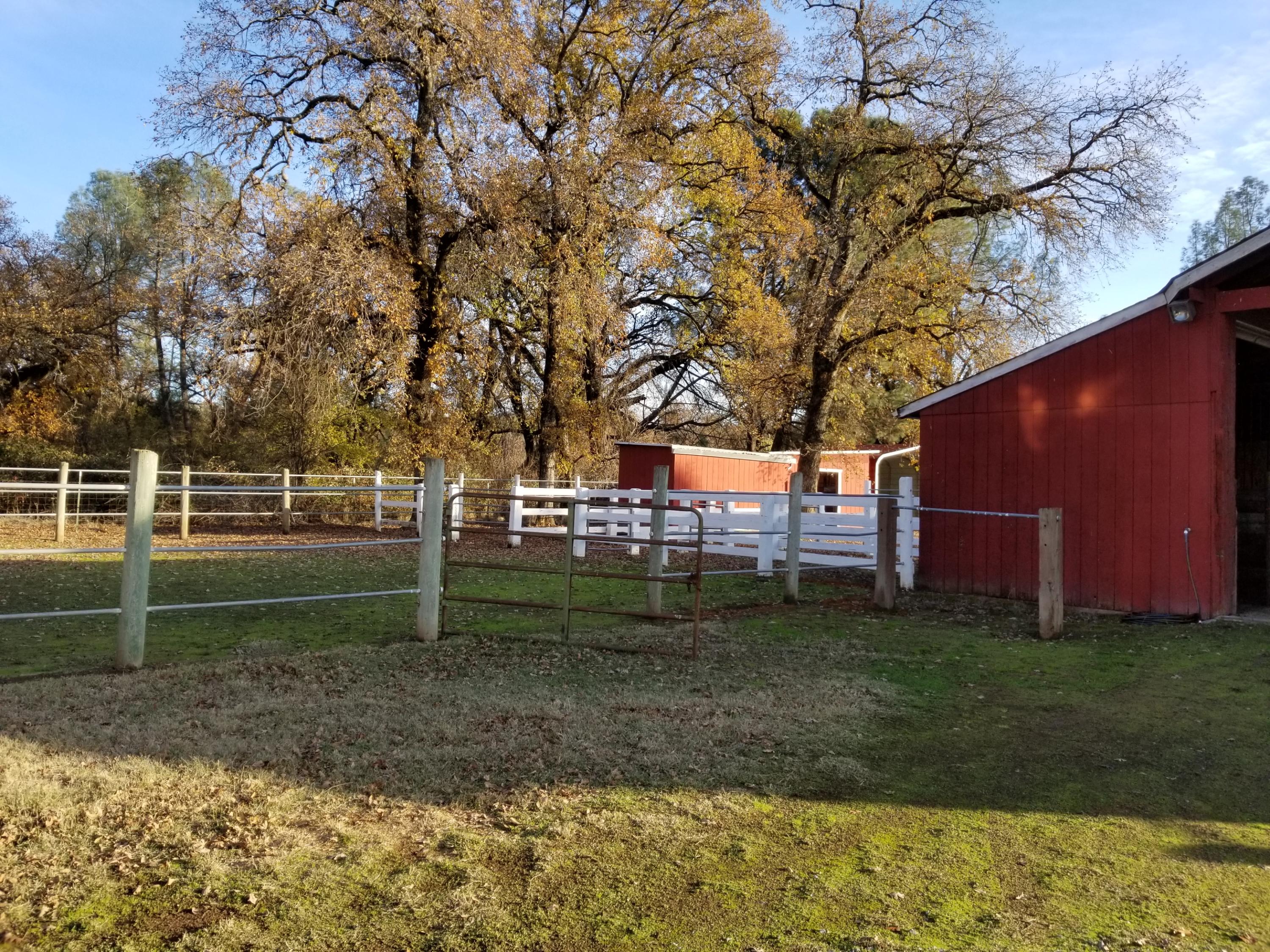 10657 Oak Run Road Oak Run, CA 96069 - Photo 28 of 91 20181203_152453