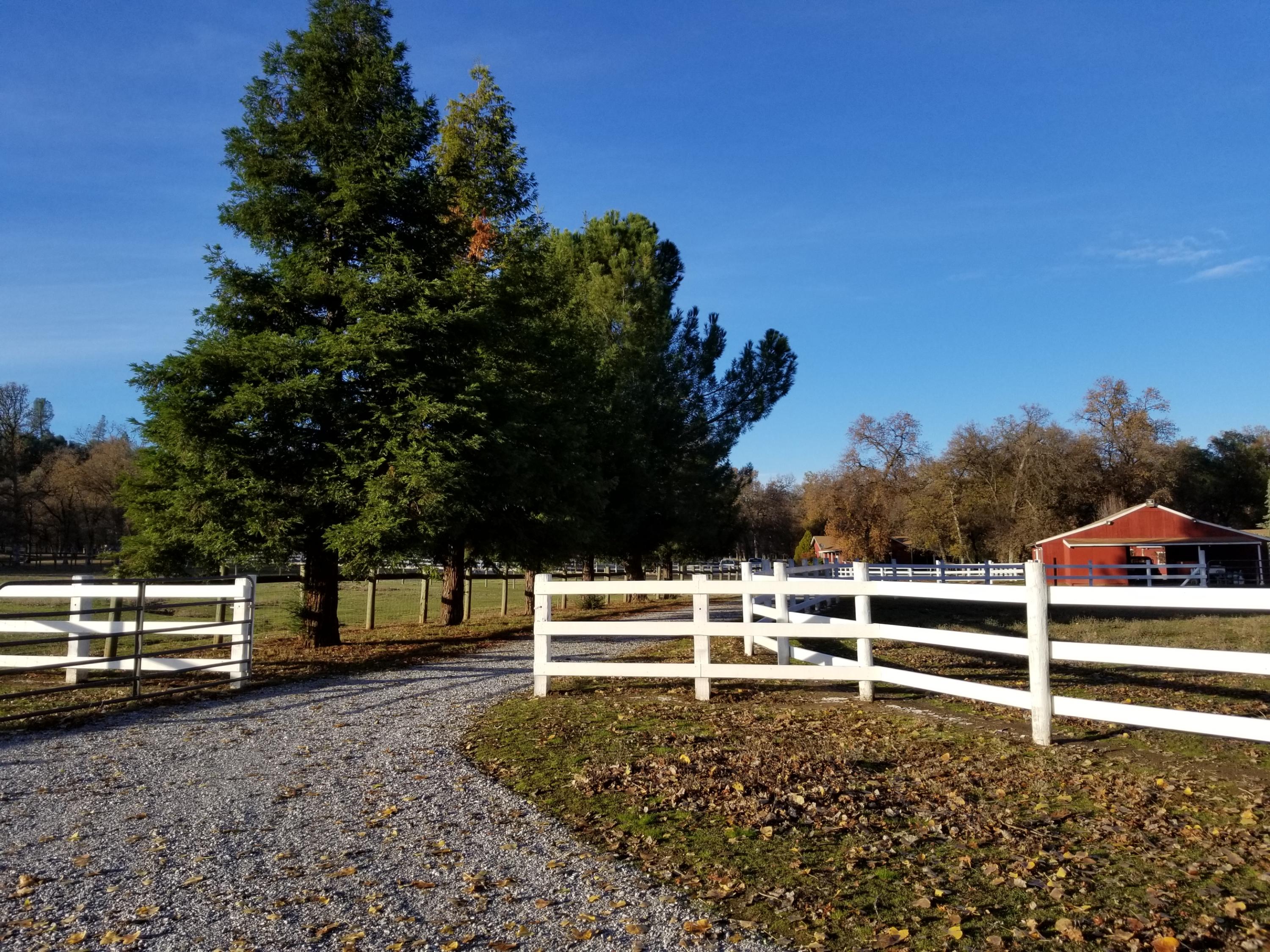 10657 Oak Run Road Oak Run, CA 96069 - Photo 45 of 91 20181203_153249