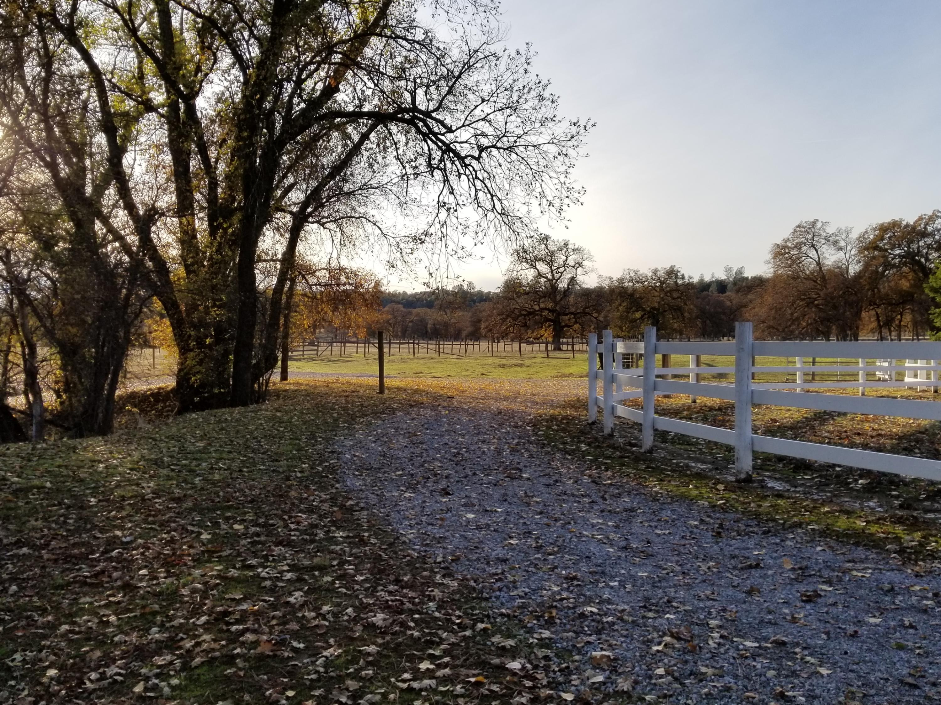 10657 Oak Run Road Oak Run, CA 96069 - Photo 54 of 91 20181203_152750