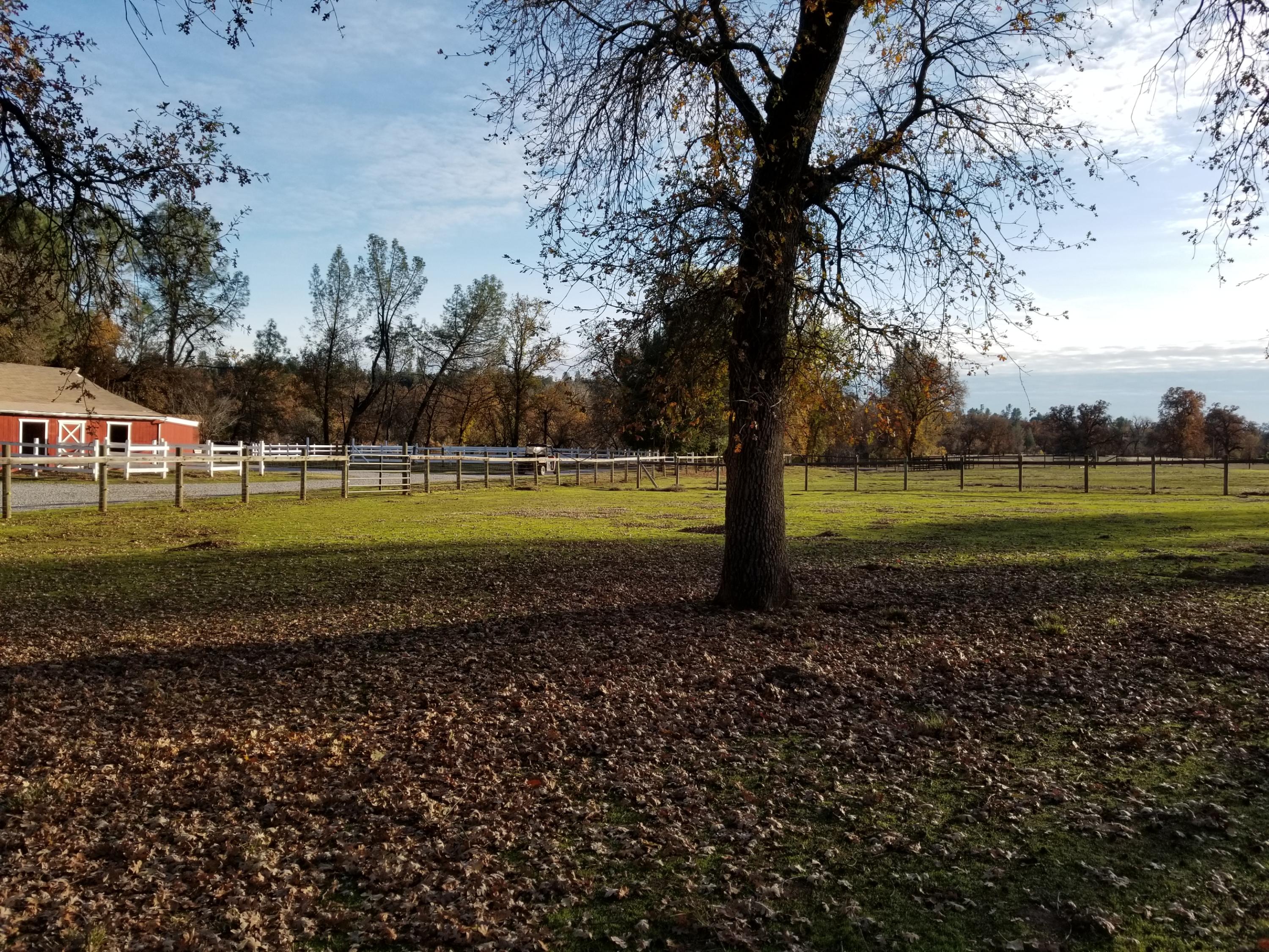 10657 Oak Run Road Oak Run, CA 96069 - Photo 57 of 91 20181203_152041