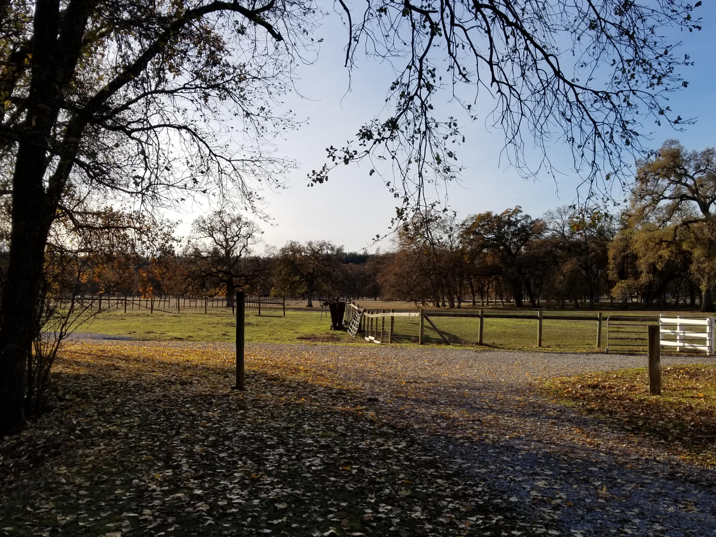 10657 Oak Run Road Oak Run, CA 96069 - Photo 60 of 91 20181203_152820