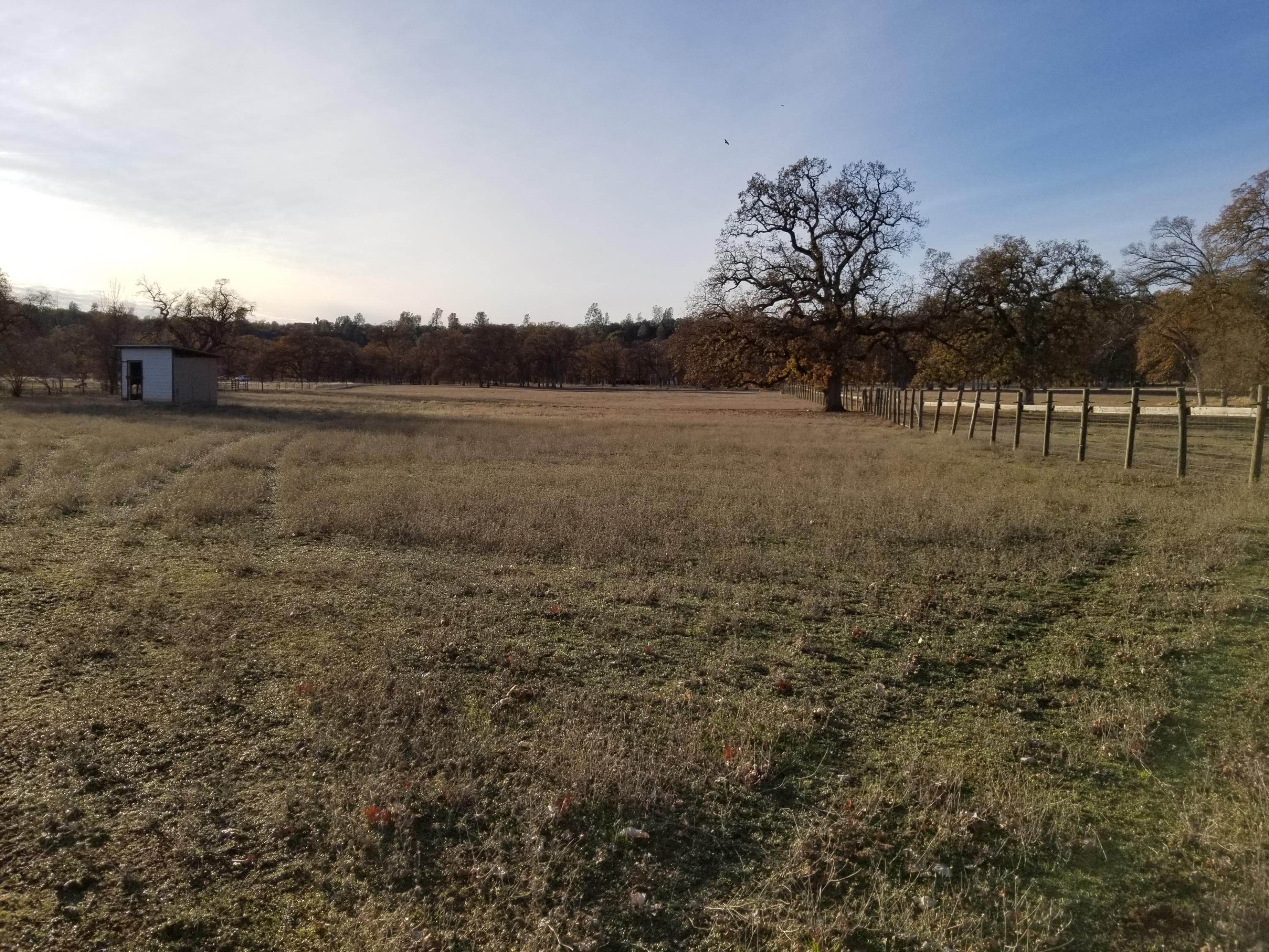 10657 Oak Run Road Oak Run, CA 96069 - Photo 62 of 91 20181203_153054