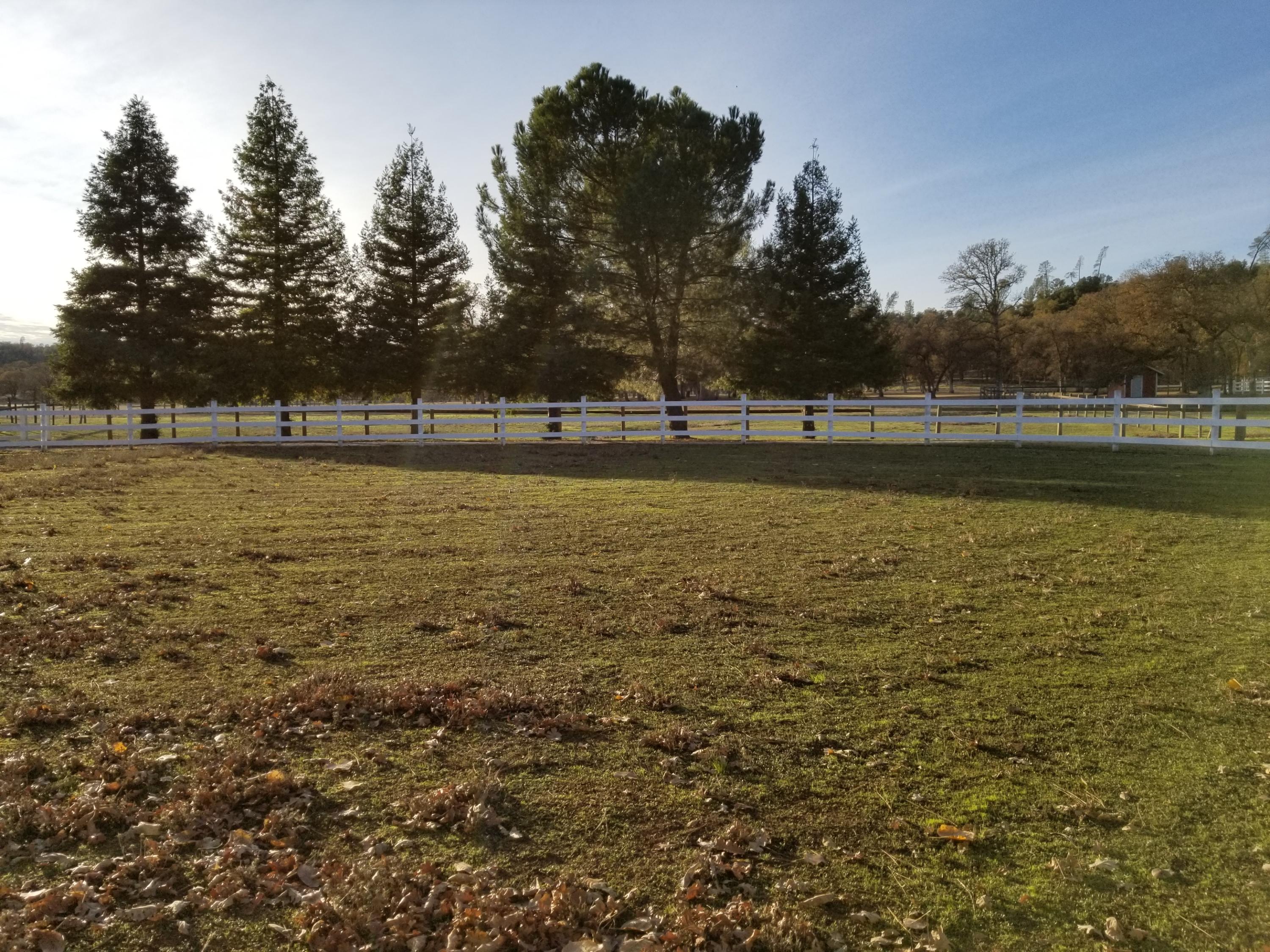 10657 Oak Run Road Oak Run, CA 96069 - Photo 66 of 91 20181203_153418