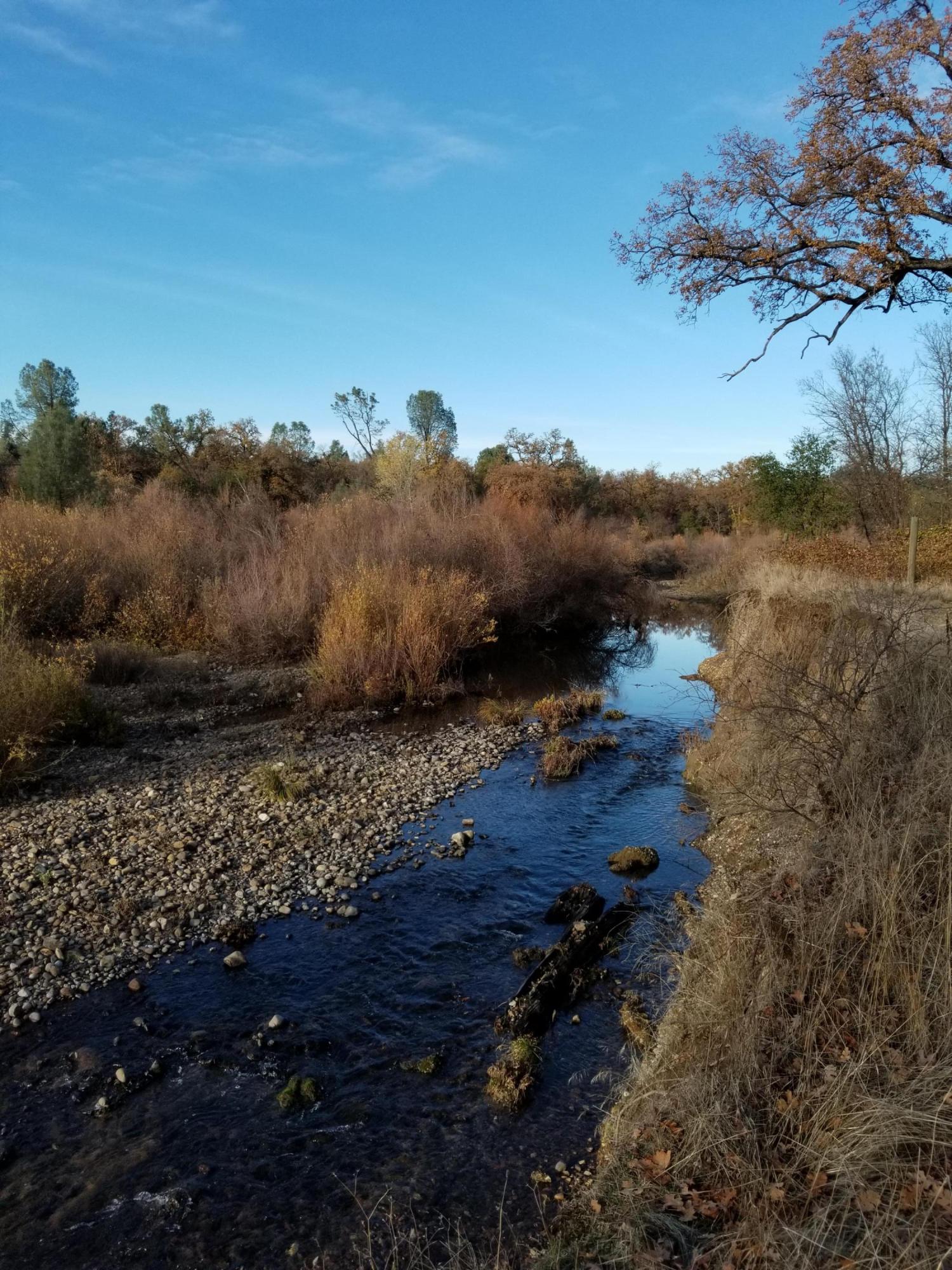 10657 Oak Run Road Oak Run, CA 96069 - Photo 68 of 91 20181203_150105