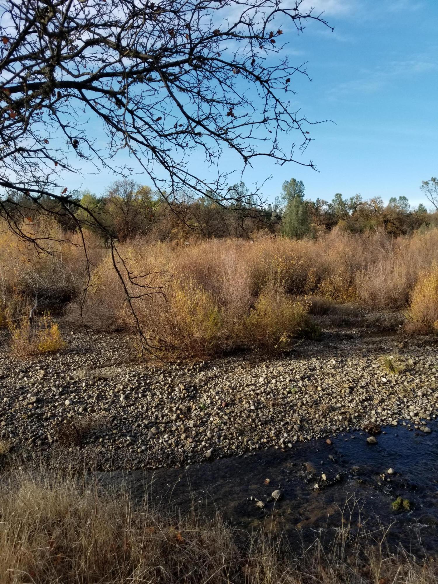 10657 Oak Run Road Oak Run, CA 96069 - Photo 70 of 91 20181203_150150
