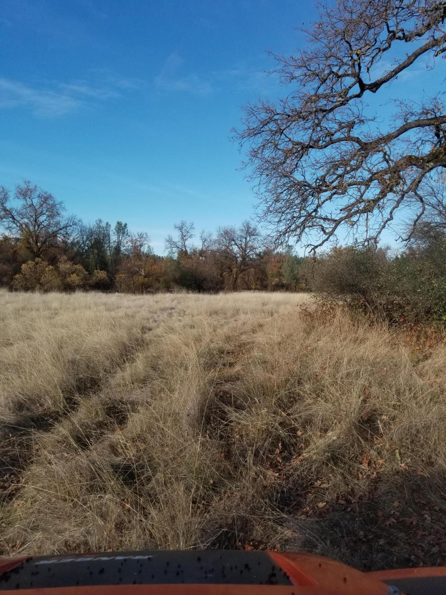 10657 Oak Run Road Oak Run, CA 96069 - Photo 77 of 91 20181203_145832