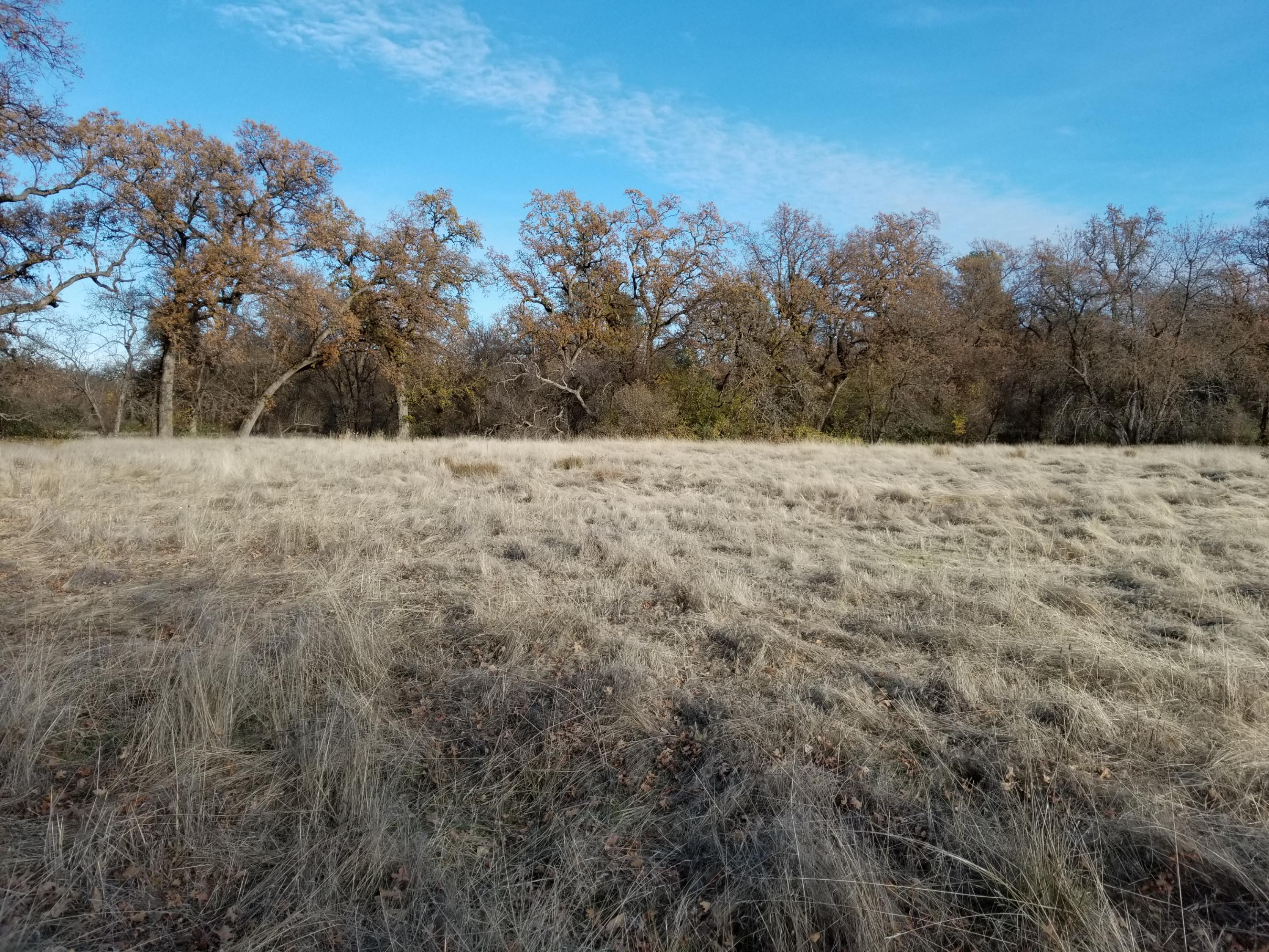 10657 Oak Run Road Oak Run, CA 96069 - Photo 78 of 91 20181203_145019
