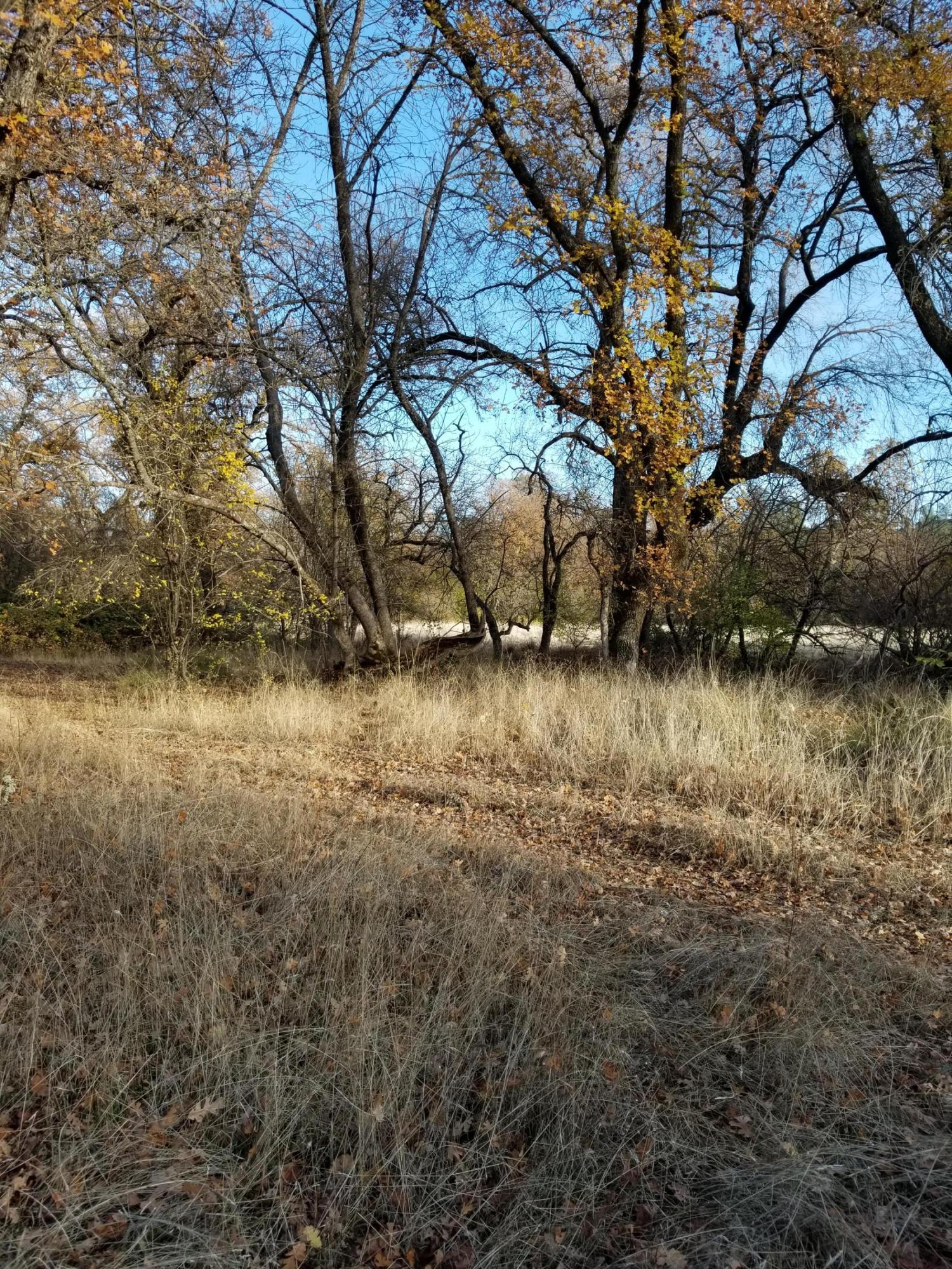 10657 Oak Run Road Oak Run, CA 96069 - Photo 79 of 91 20181203_150203
