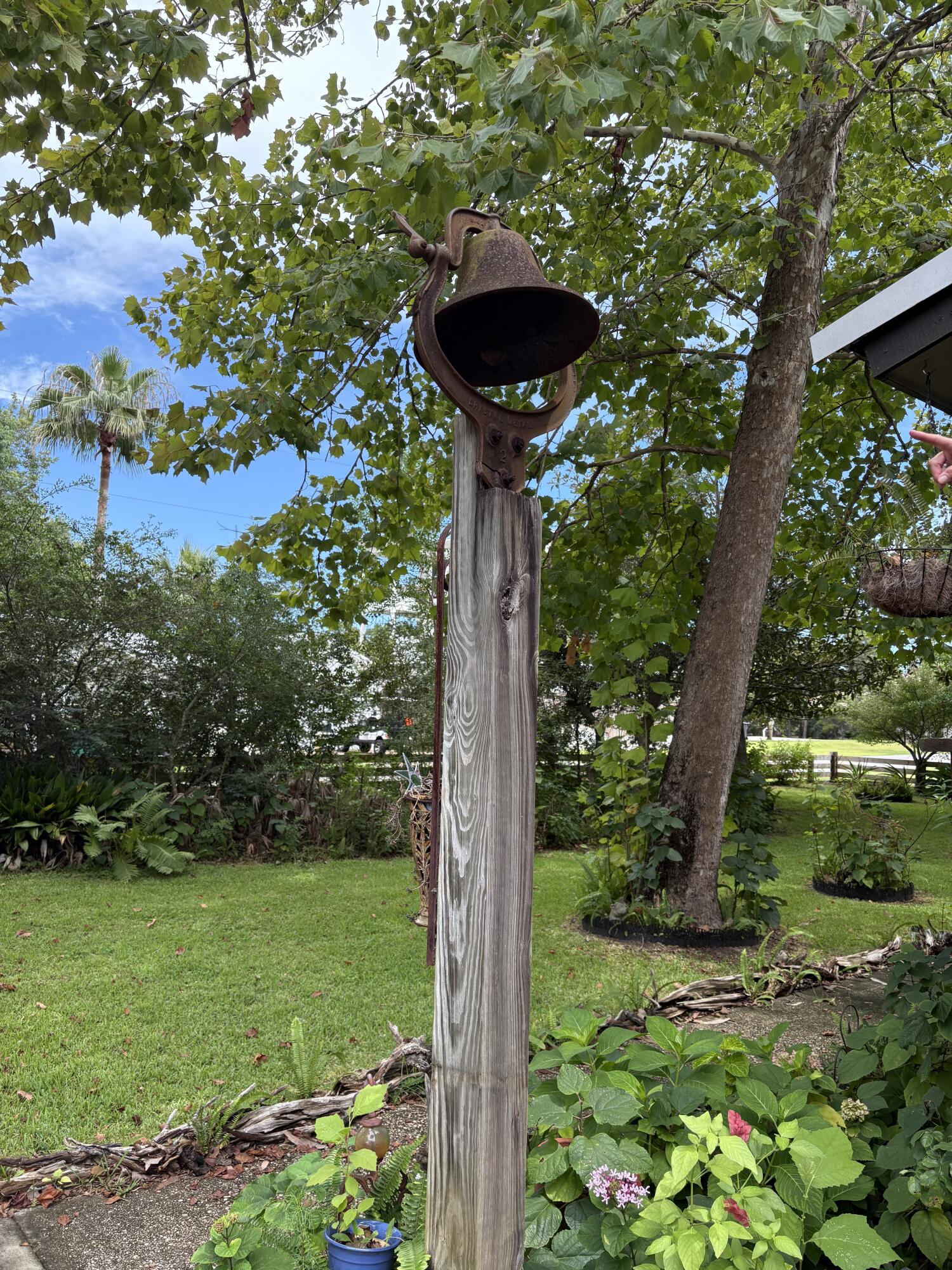 335 Acacia Street Santa Rosa Beach, FL 32459 - Photo 27 of 36 a picture of a tree with a yard