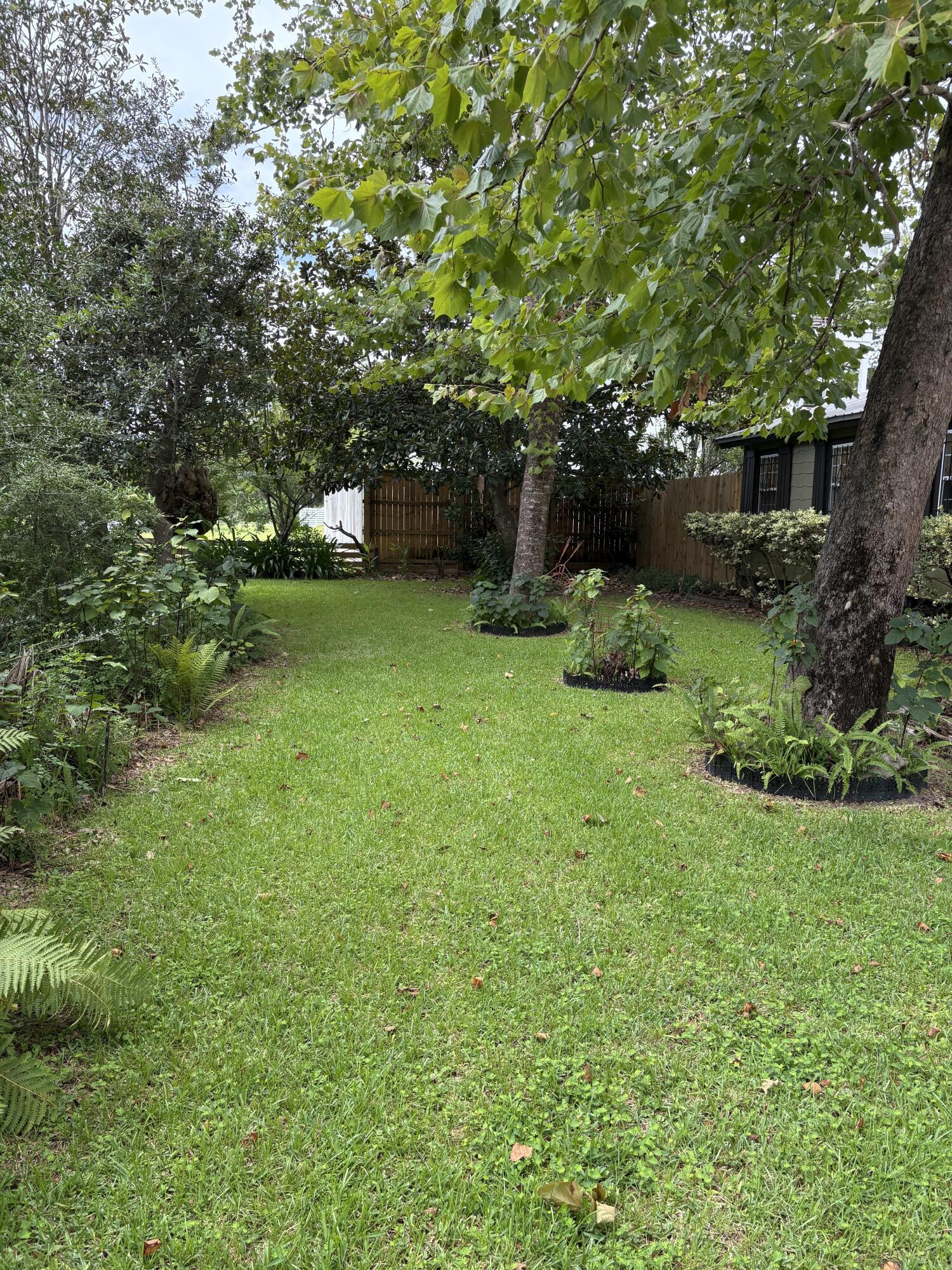 335 Acacia Street Santa Rosa Beach, FL 32459 - Photo 32 of 36 a view of a backyard with large trees