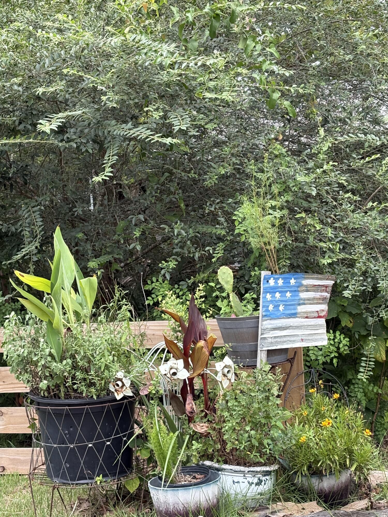 335 Acacia Street Santa Rosa Beach, FL 32459 - Photo 35 of 36 a view of a back yard of the house and green space