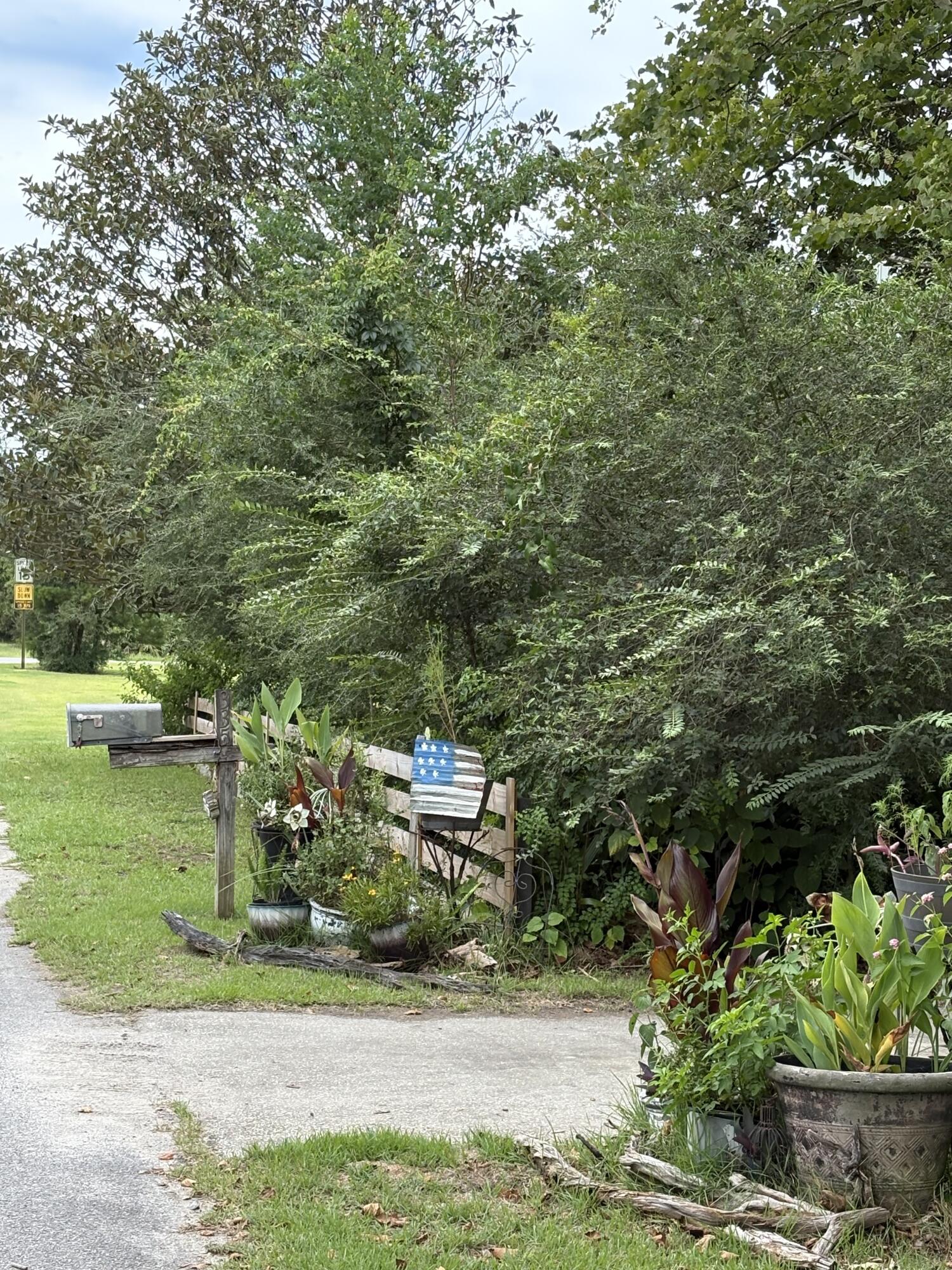335 Acacia Street Santa Rosa Beach, FL 32459 - Photo 36 of 36 a view of yard