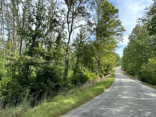 View of asphalt road with a forest view